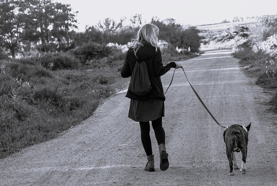educacion-canina-paseos